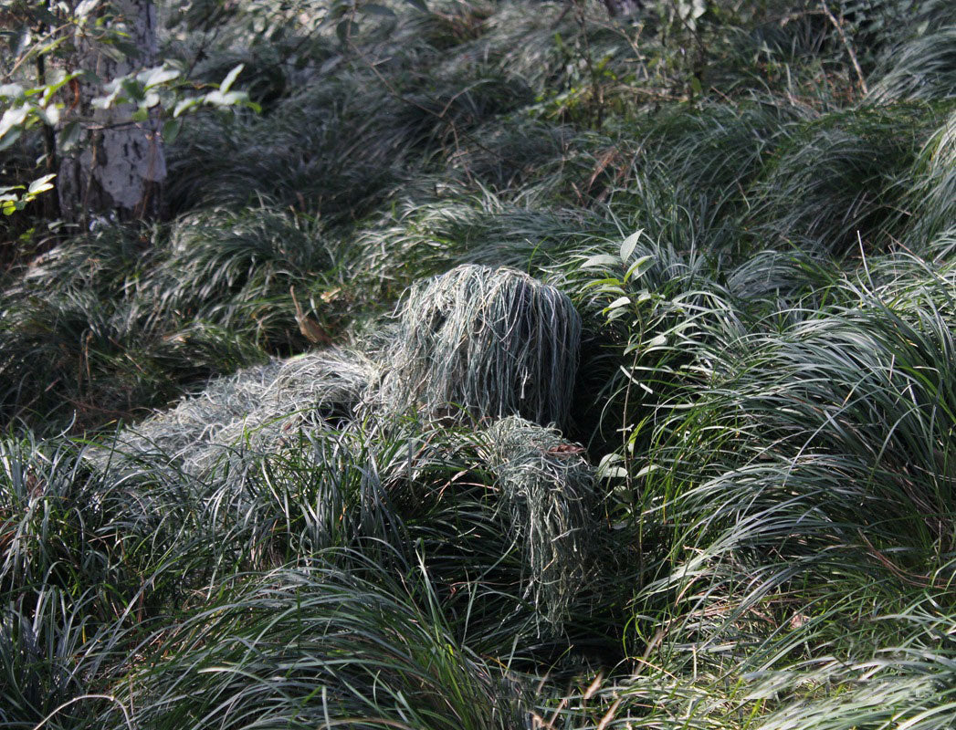 Outdoor Tactical Camouflage Ghillie Suit