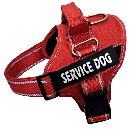 Pet Harness