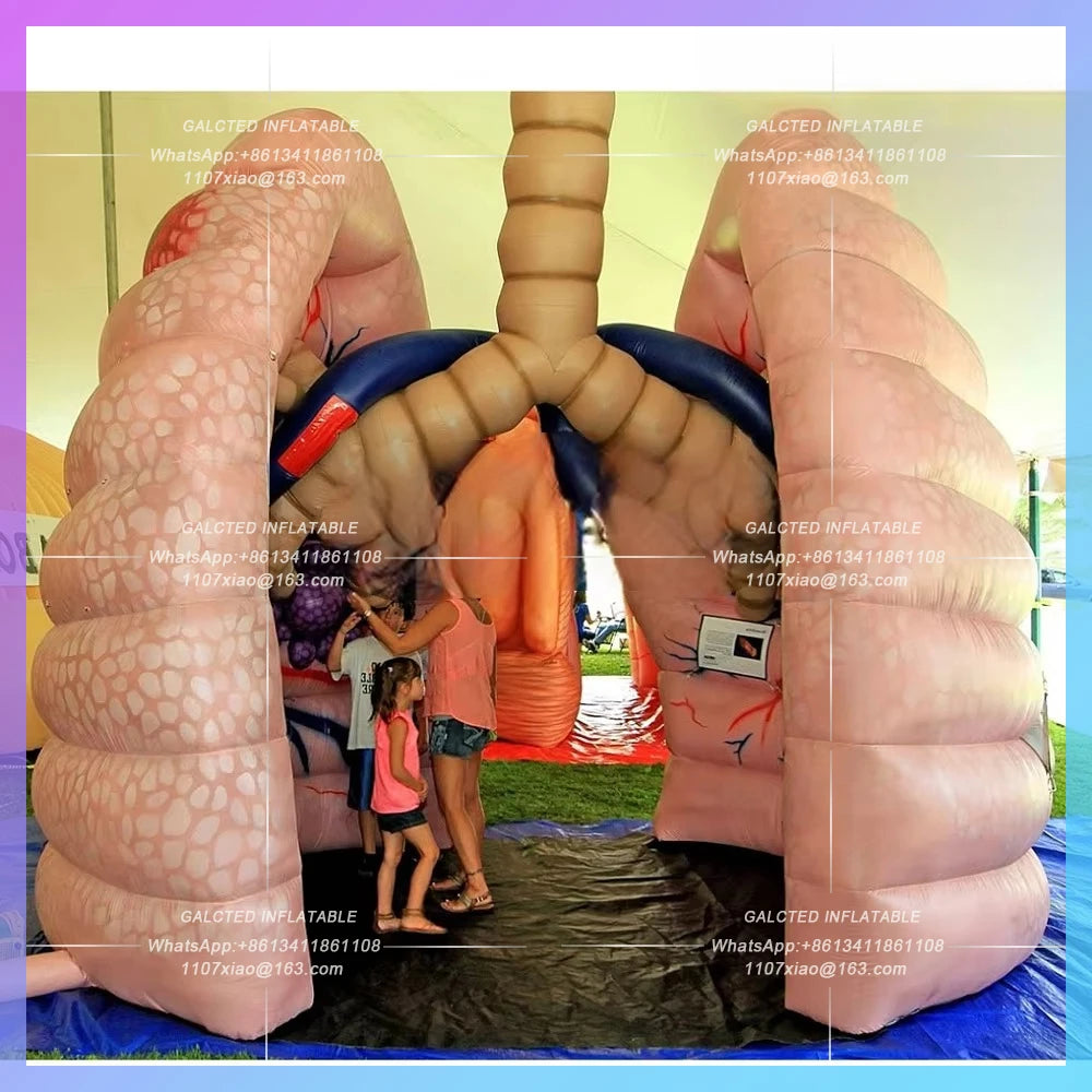Inflatable Giant Human Lung Replica - 3m & 4m Models for Teaching & Demonstration