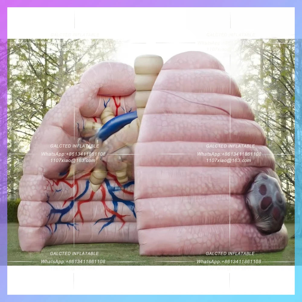 Inflatable Giant Human Lung Replica - 3m & 4m Models for Teaching & Demonstration