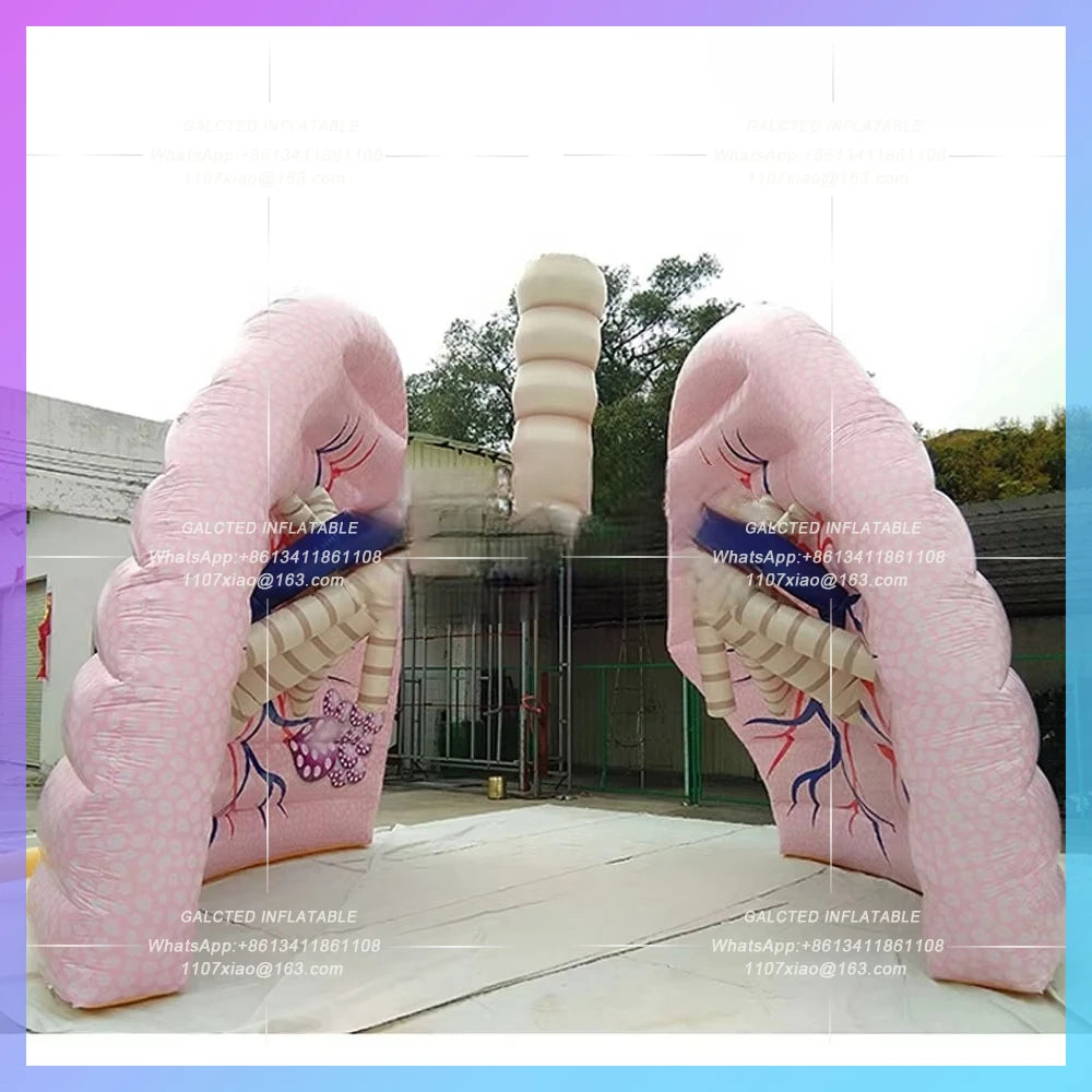 Inflatable Giant Human Lung Replica - 3m & 4m Models for Teaching & Demonstration