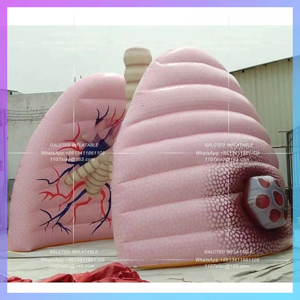 Inflatable Giant Human Lung Replica - 3m & 4m Models for Teaching & Demonstration