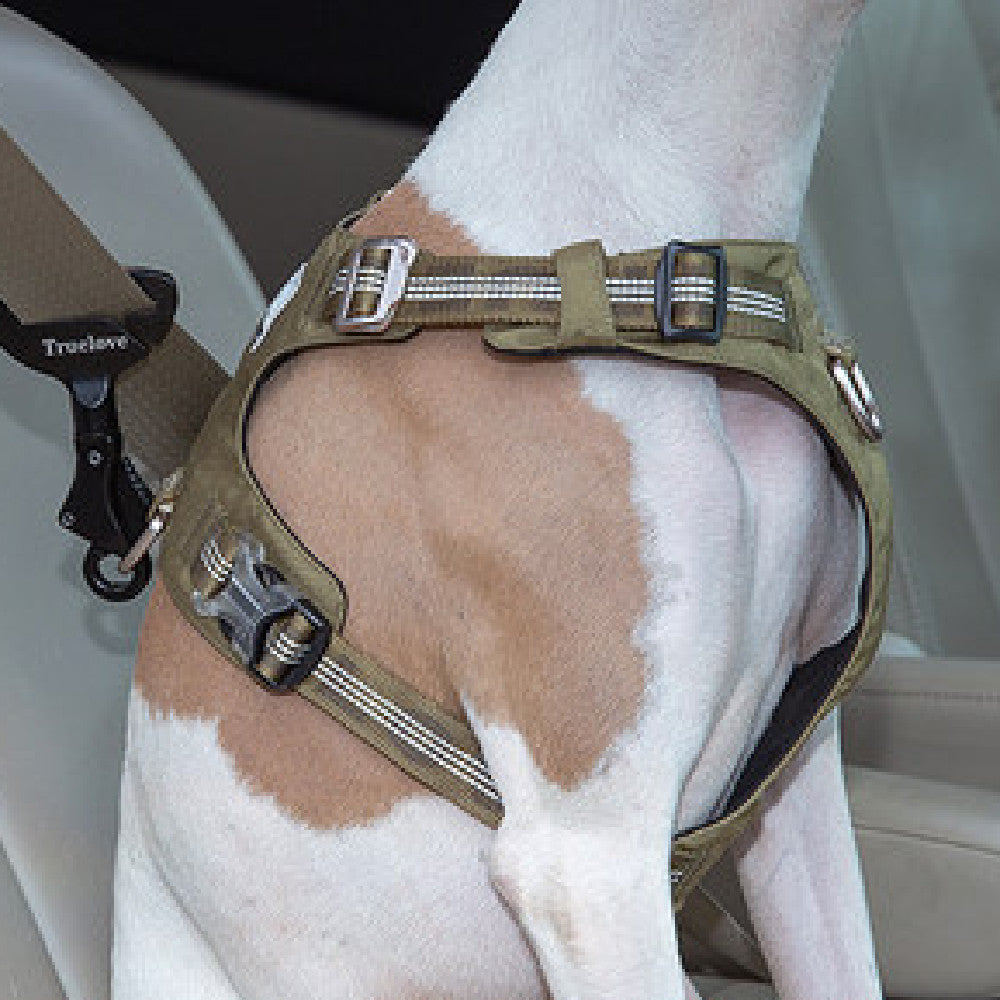 Car Safety Pet Buckle